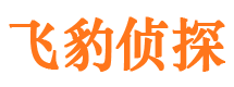 藁城调查公司